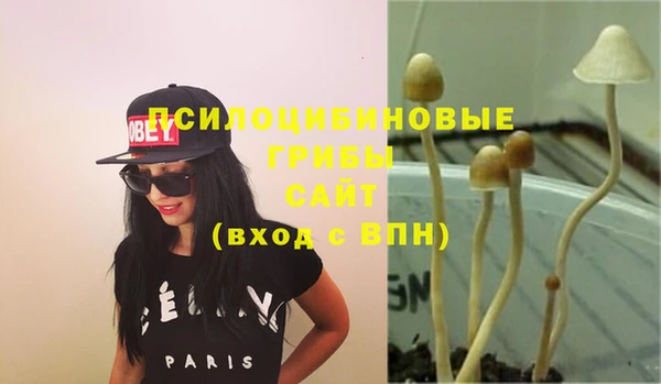 прущая мука Вязники