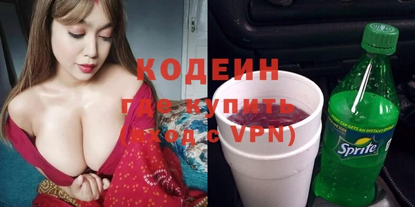 мет Галич