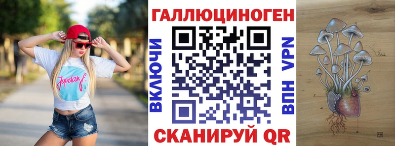Галлюциногенные грибы Magic Shrooms  Гусиноозёрск 